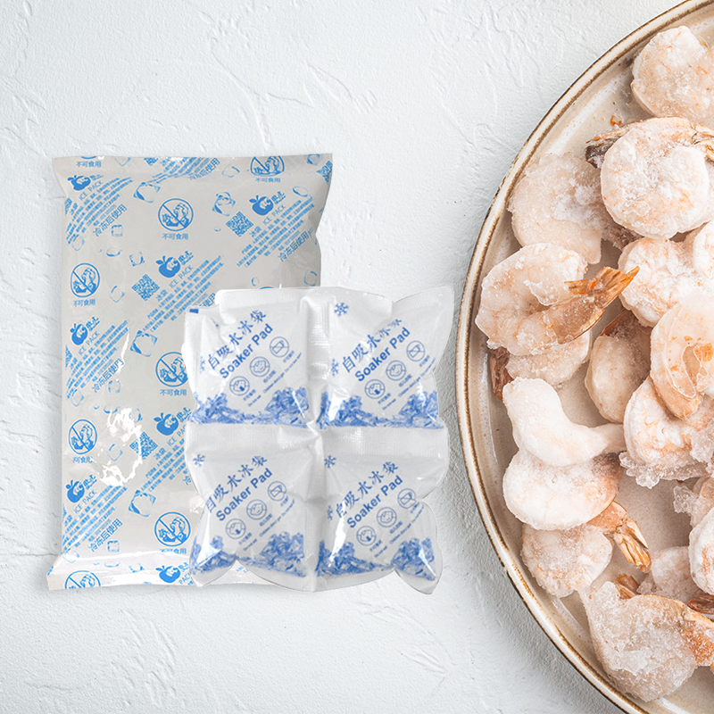 Pack de glace isolé